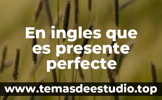 Que es el pasado y el presente para la historia 8 En ingles que es presente perfecte