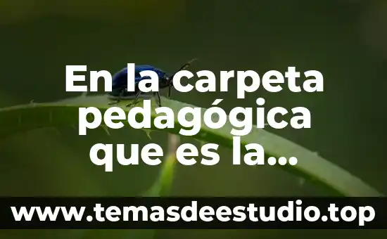 Que es una carpeta informativa 3 En la carpeta pedagógica que es la estructura mensual