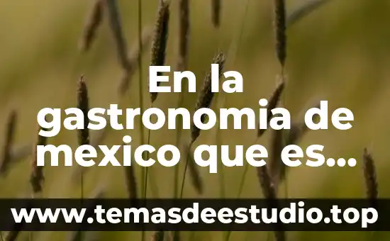 Gastronomía de Asia técnicas e ingredientes que es de Francia 4 En la gastronomia de mexico que es amirillo