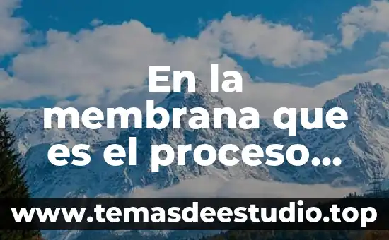 Que es la organizacion como proceso administrativo por 8 En la membrana que es el proceso de osmosis