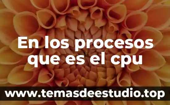 Que es un levantamiento de procesos 5 En los procesos que es el cpu
