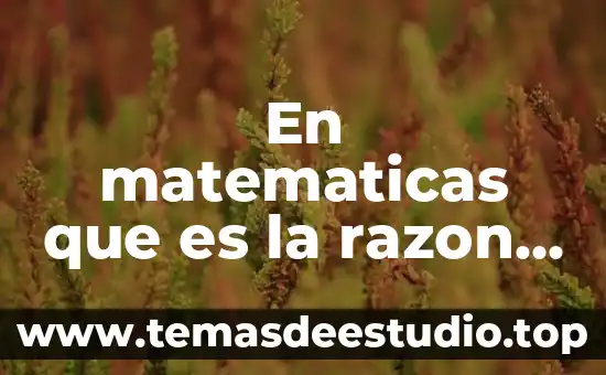 En matematicas que es la razon de un objeto