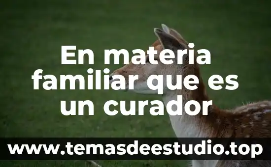En una exposición de arte que es un curador 3 En materia familiar que es un curador