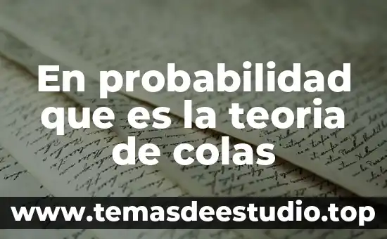 En probabilidad que es la teoria de colas