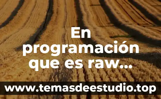 Qué es un supar en programación 4 En programación que es raw temp