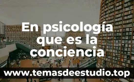 Que es monada en psicologia 3 En psicología que es la conciencia