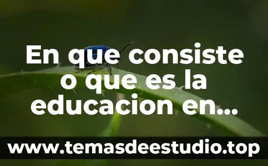 Qué es vark en la educación significado 4 En que consiste o que es la educacion en linea