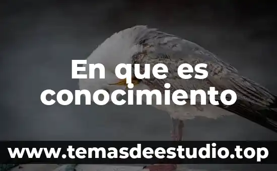 En que es conocimiento