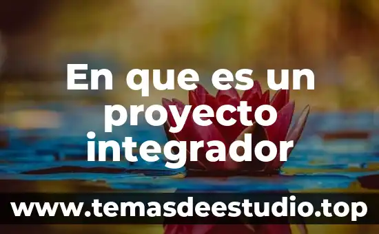 En que es un proyecto integrador