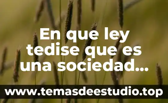 Que es la sociedad de convivencia 6 En que ley tedise que es una sociedad de convivencia