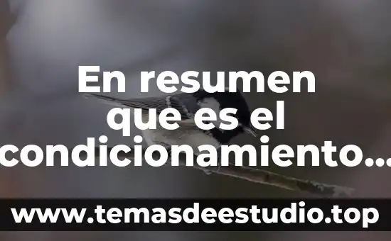 En resumen que es el condicionamiento clasico yahoo