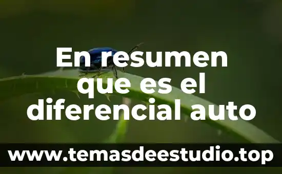 Que es un relato resumen 8 En resumen que es el diferencial auto