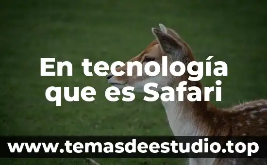 Qué es el corba en tecnología 4 En tecnología que es Safari
