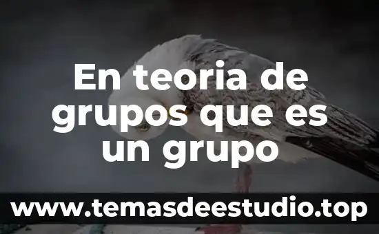 En teoria de grupos que es un grupo