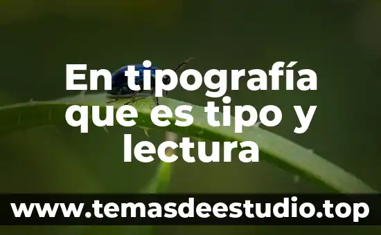 Tipo de medicamento que es micardis plus 3 En tipografía que es tipo y lectura