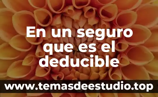 En un seguro que es el deducible