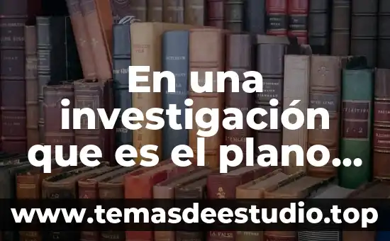 En una investigación que es el plano de conocimiento