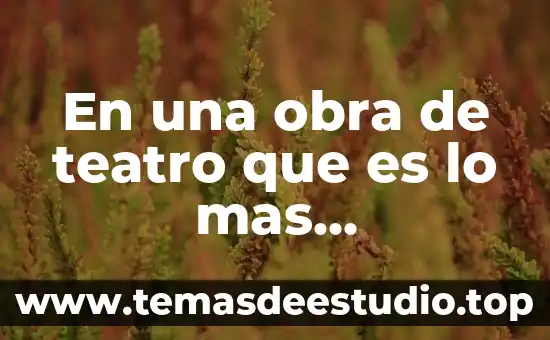 Resumen de lo que es el teatro griego 7 En una obra de teatro que es lo mas importante