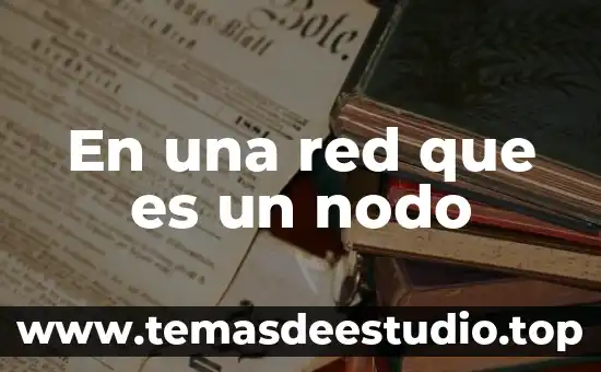Que es cultura investigacion unam 4 En una red que es un nodo