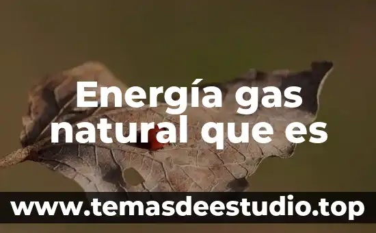 Qué es el gas natural y de qué está compuesto 8 Energía gas natural que es