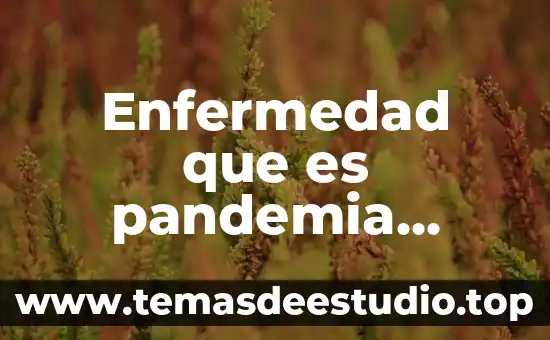 Lupus enfermedad nombres 4 Enfermedad que es pandemia endemia y epidemia