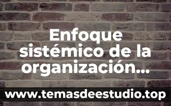 Que es en fisica caida libre 4 Enfoque sistémico de la organización que es
