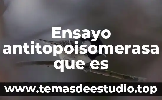 Ensayo antitopoisomerasa que es
