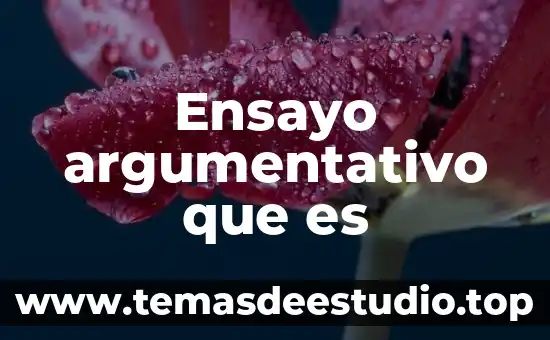 Ensayo argumentativo que es