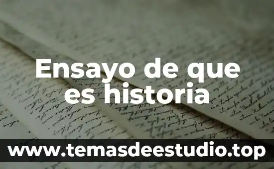 Ensayo de que es historia
