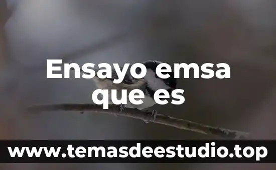 Que es el programa procuracion e imparticion de justicia 7 Ensayo emsa que es