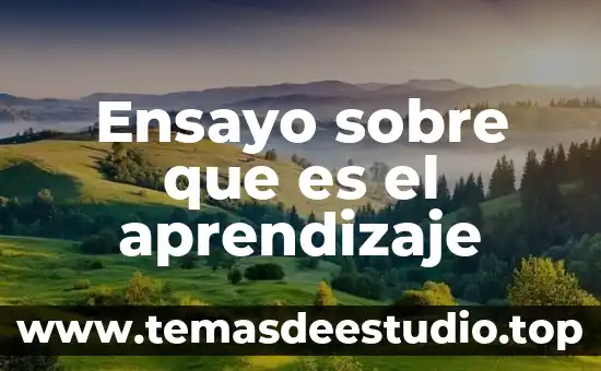 Que es historia conceptos de autor 5 Ensayo sobre que es el aprendizaje