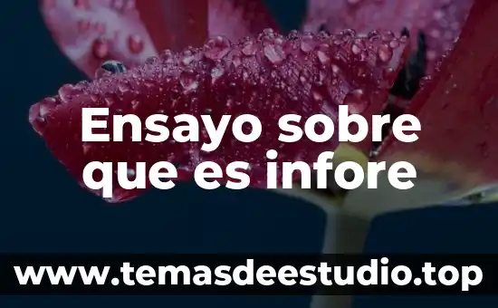 Queesuna sintesisi y que es un ensayo 6 Ensayo sobre que es infore