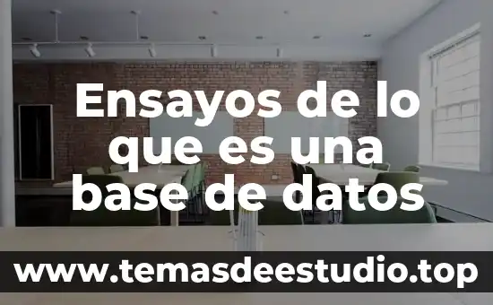 Ensayos escritos que es 3 Ensayos de lo que es una base de datos