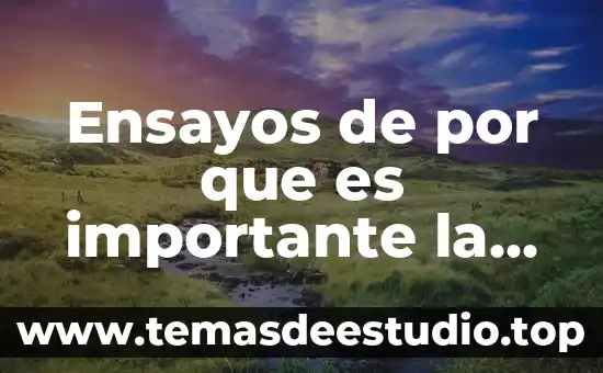 Ensayos escritos que es 4 Ensayos de por que es importante la familia