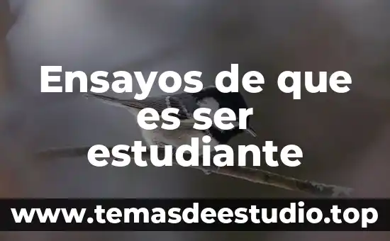 Ensayos de que es ser estudiante