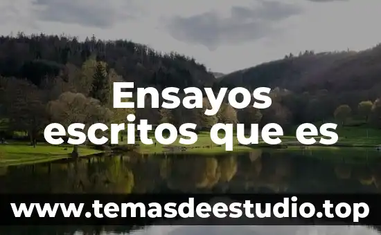 Que es una reunion ensayos 5 Ensayos escritos que es