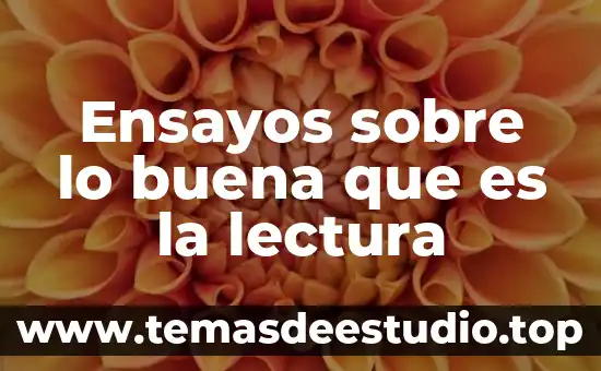 Ensayos escritos que es 5 Ensayos sobre lo buena que es la lectura