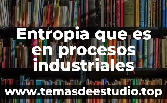 Que es ingeniería en procesos y operaciones industriales 5 Entropia que es en procesos industriales