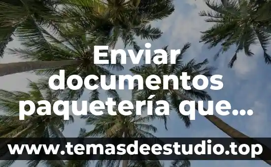 Que es flujo de documentos 5 Enviar documentos paquetería que es mejor