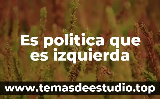 Que es ser inclinado hacia la izquierda 7 Es politica que es izquierda