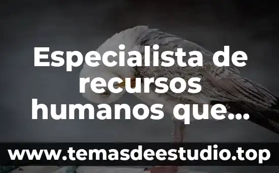 Que es ser un especialista 4 Especialista de recursos humanos que es