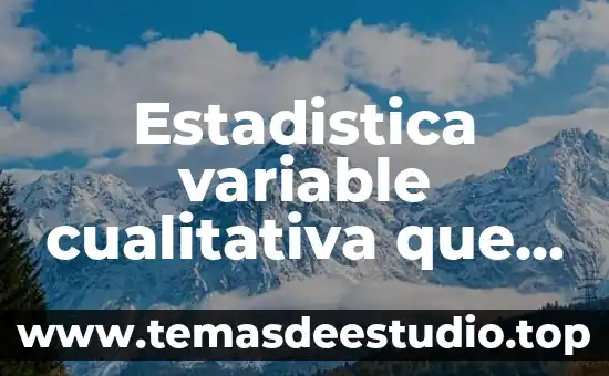 Que es imparticion de justicia segun autores 7 Estadistica variable cualitativa que es segun autores
