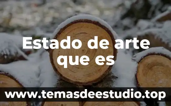 Estado de arte que es