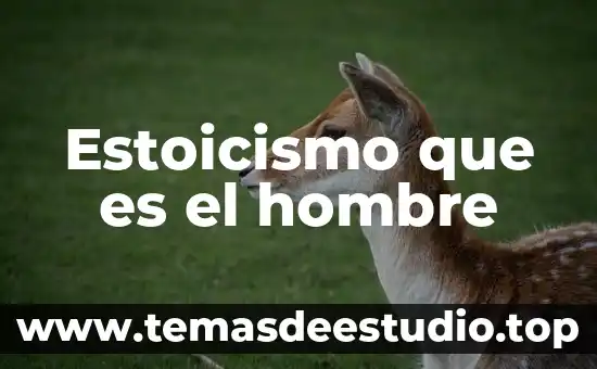 Estoicismo que es el hombre