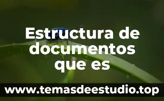 Que es flujo de documentos 6 Estructura de documentos que es