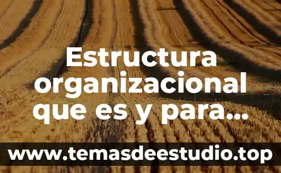 Que es estructura social dinamica 3 Estructura organizacional que es y para que sirve