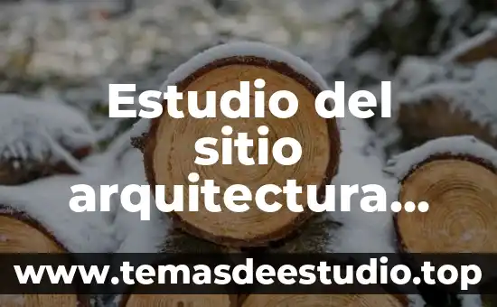 Estudio del sitio arquitectura que es