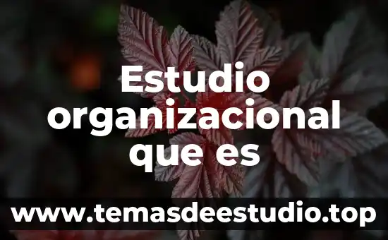 Estudio organizacional que es