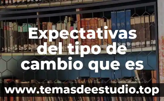 Que es cambio de layout planta techno 3 Expectativas del tipo de cambio que es