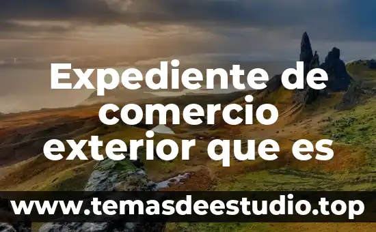 Qué es número exterior e interior ejemplo 7 Expediente de comercio exterior que es
